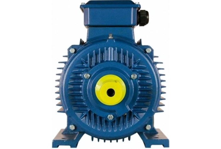 Электродвигатель 5Аи 160 М4 18.5/1500 IM 1001 [01.01.213698]