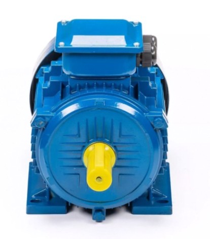 Электродвигатель 5Аи 160 S4 15/1500 IM 1001 [01.01.213688]