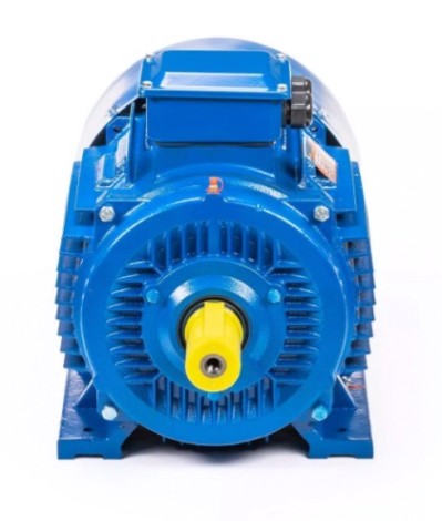 Электродвигатель 5Аи 200 L2 45/3000 IM 1001 [01.01.213642]