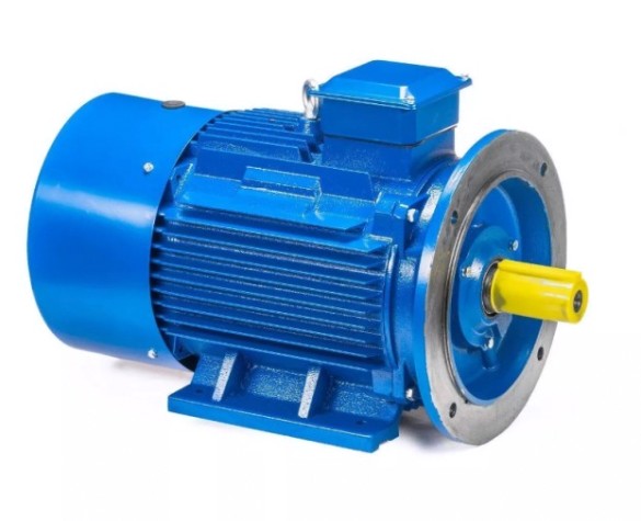 Электродвигатель 5Аи 200 L4 45/1500 IM 2001 [01.01.213647]