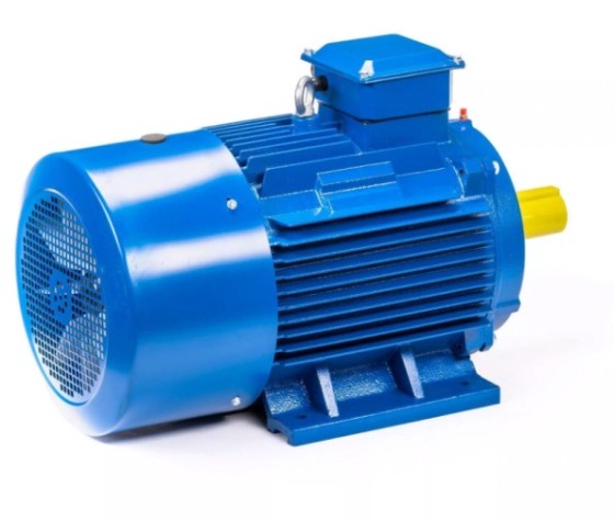 Электродвигатель 5Аи 200 L6 30/1000 IM 1001 [01.01.213649]