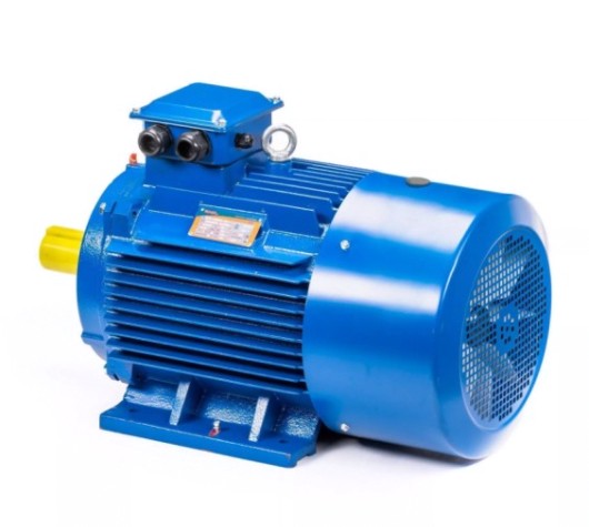 Электродвигатель 5Аи 200 L8 22/750 IM 1001 [01.01.213652]