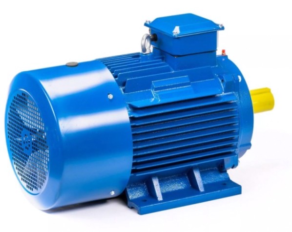 Электродвигатель 5Аи 225 М6 37/1000 IM 1001 [01.01.213661]