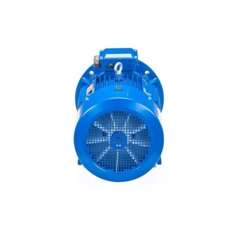 Электродвигатель 5Аи 225 М6 37/1000 IM 2001 [01.01.213662]