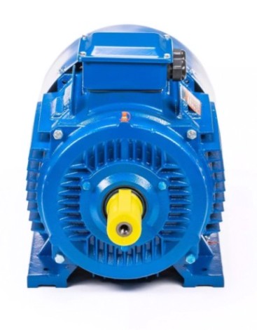 Электродвигатель 5Аи 225 М8 30/750 IM 1001 [01.01.213663]