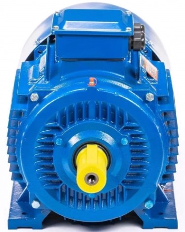 Электродвигатель 5Аи 250 М6 55/1000 IM 1001 [01.01.213758]