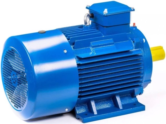 Электродвигатель 5Аи 250 М6 55/1000 IM 1001 [01.01.213758]