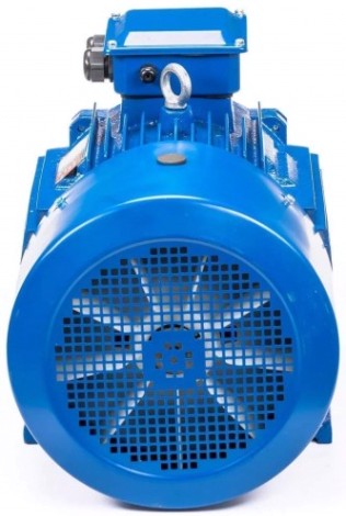 Электродвигатель 5Аи 250 М6 55/1000 IM 1001 [01.01.213758]