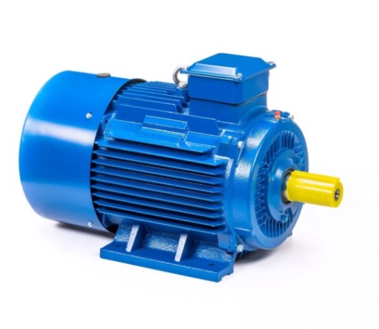 Электродвигатель 5Аи 250 S2 76/3000 IM 1001 [01.01.220399]