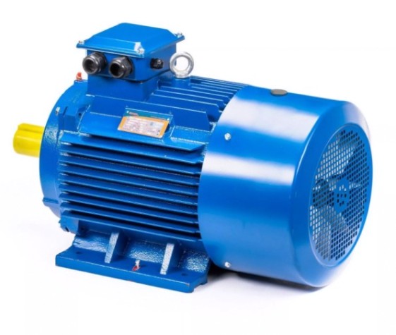 Электродвигатель 5Аи 250 S2 76/3000 IM 1001 [01.01.220399]