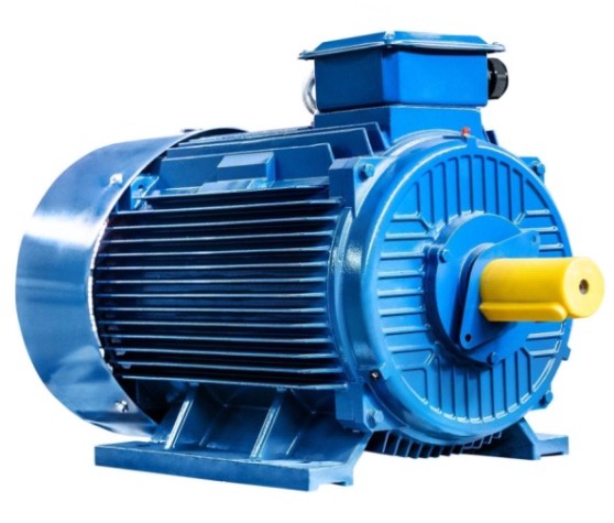 Электродвигатель 5Аи 280 S2 110/3000 IM 1001 [01.01.213706]