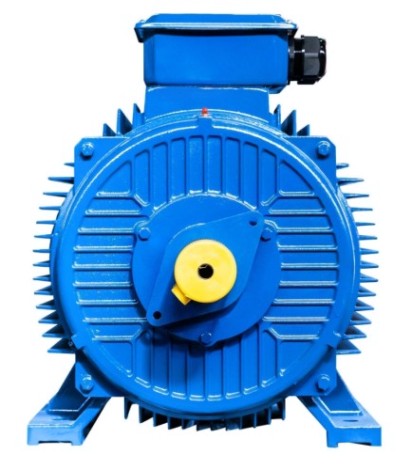 Электродвигатель 5Аи 280 S2 110/3000 IM 1001 [01.01.213706]