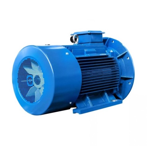 Электродвигатель 5Аи 280 S4 110/1500 IM 2001 [01.01.214242]