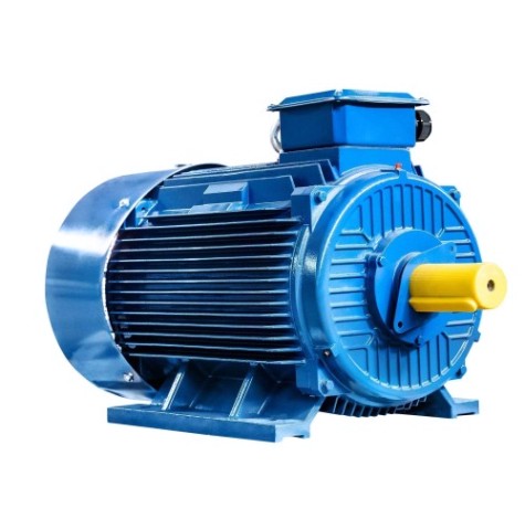 Электродвигатель 5Аи 315 S2 160/3000 IM 1001 [01.01.213489]