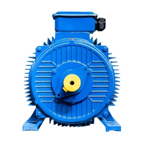 Электродвигатель 5Аи 315 S2 160/3000 IM 1001 [01.01.213489]