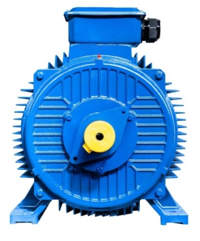 Электродвигатель 5Аи 315 S4 160/1500 IM 1001 [01.01.213490]