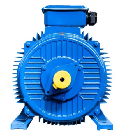 Электродвигатель 5Аи 355 MLA4 355/1500 IM 1001 [01.01.221999]