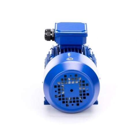 Электродвигатель 5Аи 56 А2 0.18/3000 IM 1081 [01.01.213508]