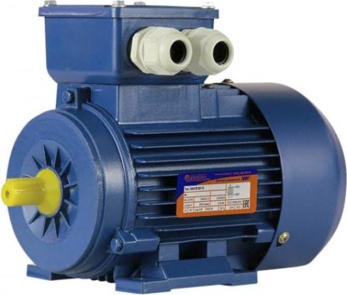 Электродвигатель 5Аи 56 В2 0.25/3000 IM 1081 [01.01.213514]