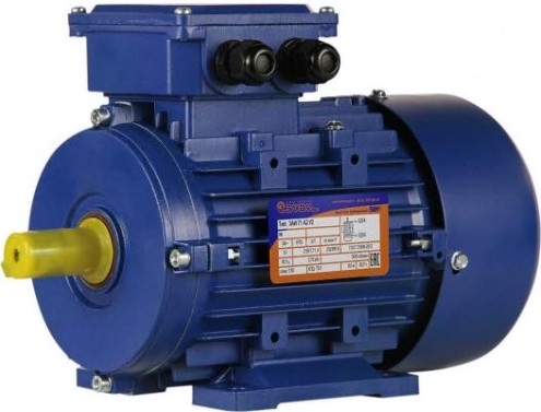 Электродвигатель 5Аи 71 А2 0.75/3000 IM 1081 [01.01.213622]