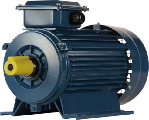 Электродвигатель 5Аи 90 L2 3/3000 IM 1081 [01.01.213461]